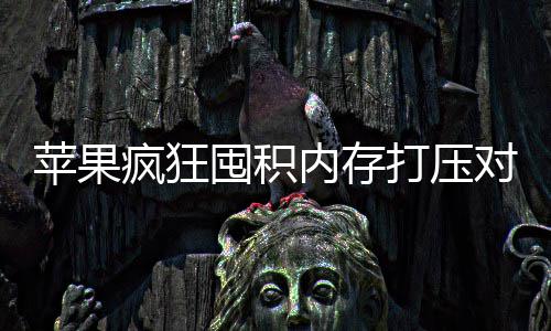 商恐产厂囤积打压对手慌性内存抢购 引苹果疯狂发国